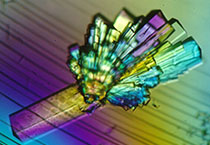 Ladbrokes立博副总裁金晓玮博士等一行出席了在上海举行的中国科学手艺大学校友会沙龙