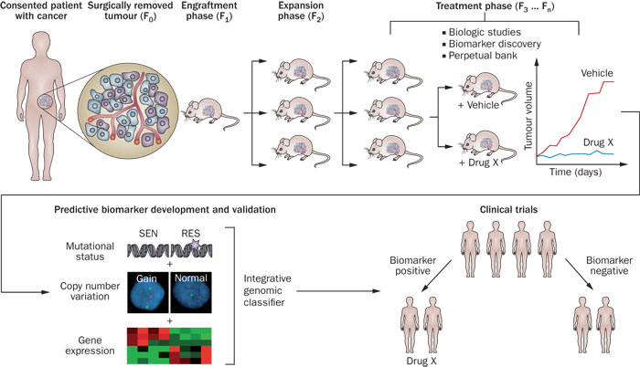 ladbrokes立博-英国公司官网