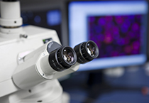 改委监控三类药价，本钱价视察将启动