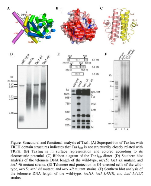 ladbrokes立博-英国公司官网