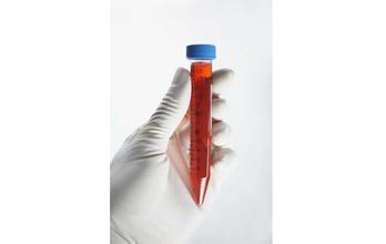 ladbrokes立博-英国公司官网