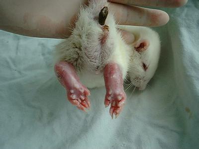 ladbrokes立博-英国公司官网