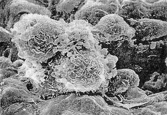 ladbrokes立博-英国公司官网