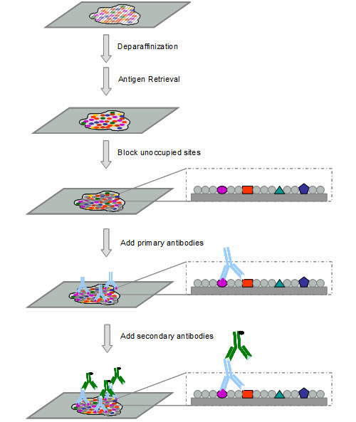 ladbrokes立博-英国公司官网