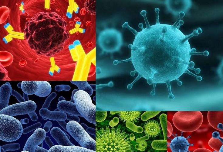 原位杂交手艺——Ladbrokes立博