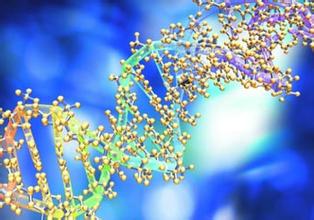 卵白质组学手艺服务