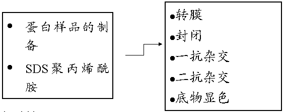 ladbrokes立博-英国公司官网