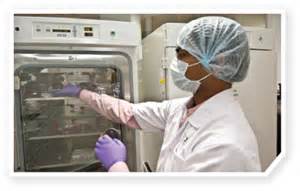 多方博弈：：：突破中国式研发逆境