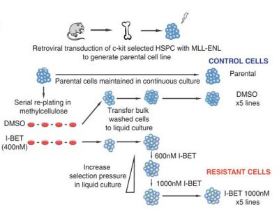 ladbrokes立博-英国公司官网