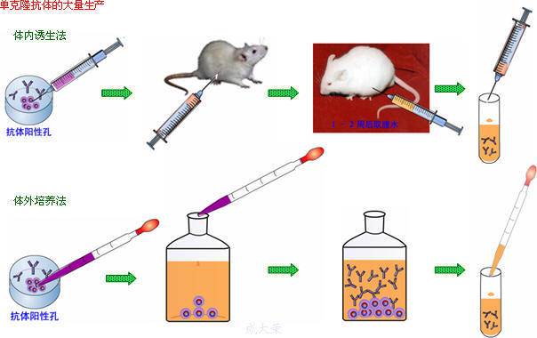 ladbrokes立博-英国公司官网