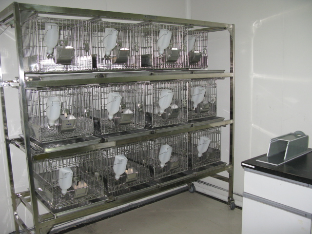 Ladbrokes立博普亚新动物房通过上海动管会验收