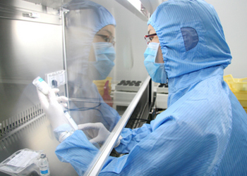 BE试验：怎样提升试验乐成率