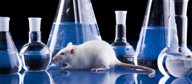 ladbrokes立博-英国公司官网