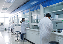 Cancercell：靶向组卵白甲基酶PRMT1治疗急性髓系白血病