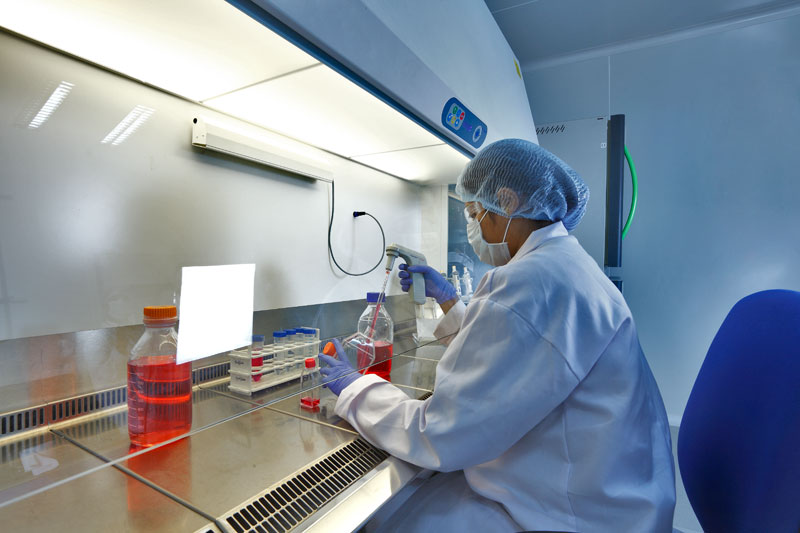 2015年度中国药品批准盘货：：化药不批准率超20%，，，中药上市数目翻3倍