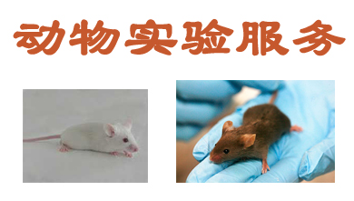 Ladbrokes立博动物实验外包服务