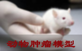 Ladbrokes立博肿瘤模子建设服务