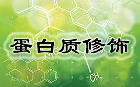 ladbrokes立博-英国公司官网