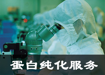 卵白纯化服务公司