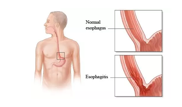 ladbrokes立博-英国公司官网
