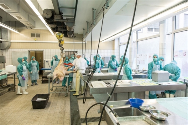 Nature专栏评述：再定位药物