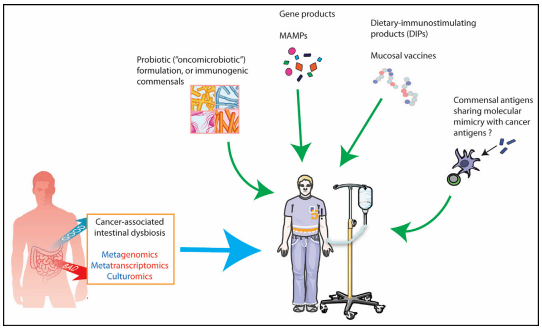 ladbrokes立博-英国公司官网
