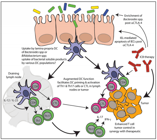 ladbrokes立博-英国公司官网