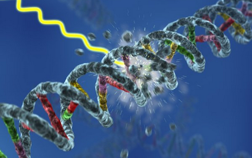 Nature：癌症治疗发明新靶点