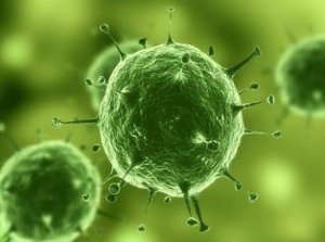 Nature：：：治疗实体瘤有了明确靶标，，，肿瘤干细胞确实保存