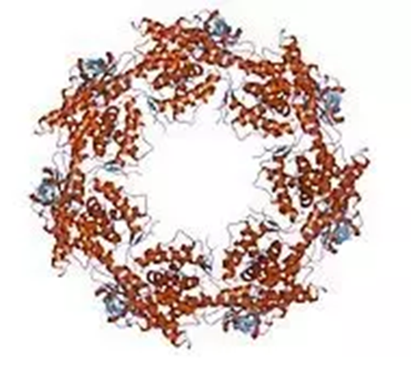 ladbrokes立博-英国公司官网