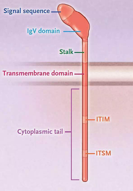 ladbrokes立博-英国公司官网