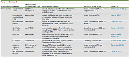ladbrokes立博-英国公司官网