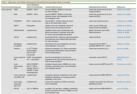ladbrokes立博-英国公司官网