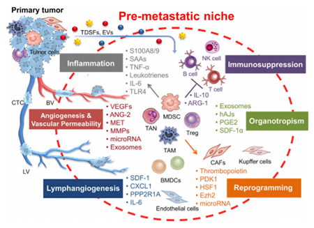 ladbrokes立博-英国公司官网