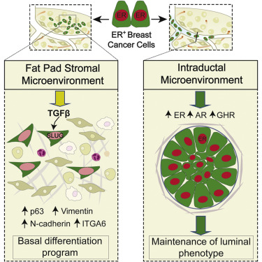 ladbrokes立博-英国公司官网