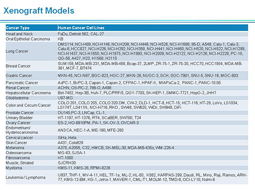 Ladbrokes立博副总裁汪俊博士SAPA-DC聚会演讲PPT