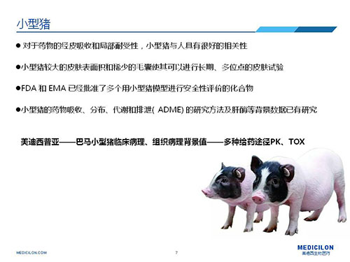 皮肤涂抹试验中，，受试动物选择小型猪更好