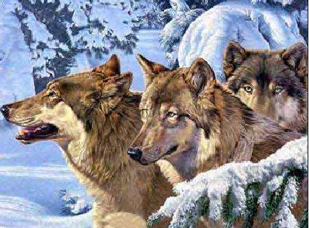 海内仿制药的三匹“狼”来了！！！