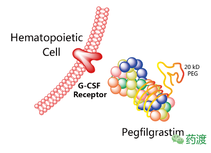 ladbrokes立博-英国公司官网