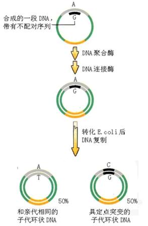 ladbrokes立博-英国公司官网