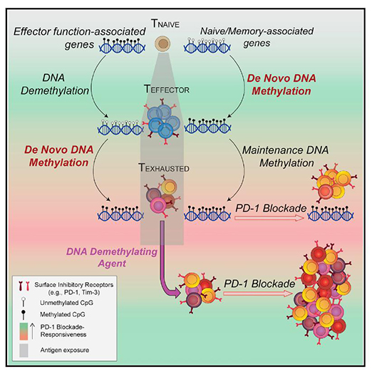 ladbrokes立博-英国公司官网