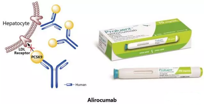ladbrokes立博-英国公司官网