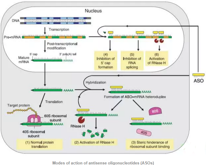 ladbrokes立博-英国公司官网
