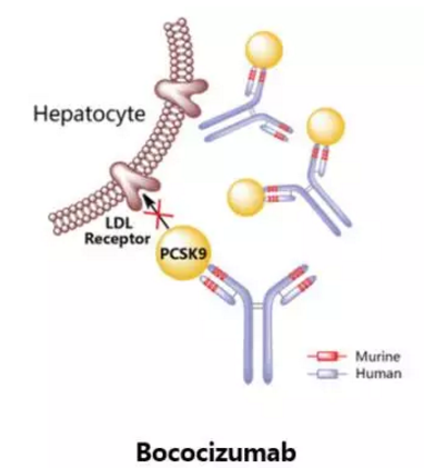 ladbrokes立博-英国公司官网