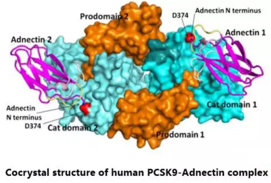 ladbrokes立博-英国公司官网