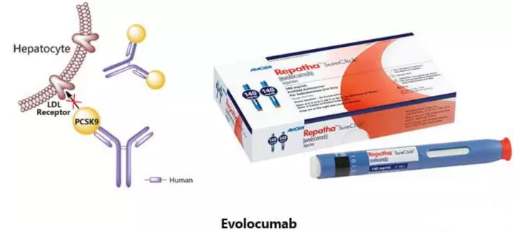 ladbrokes立博-英国公司官网