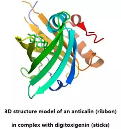 ladbrokes立博-英国公司官网