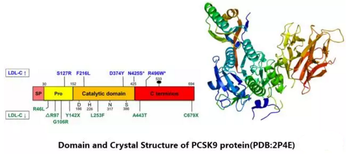 ladbrokes立博-英国公司官网
