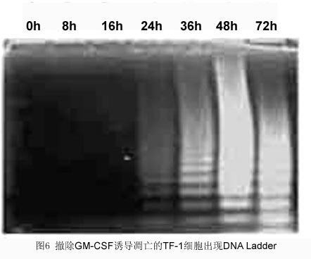 ladbrokes立博-英国公司官网