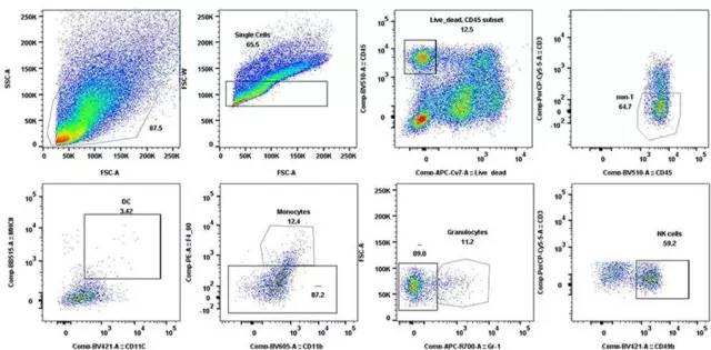 ladbrokes立博-英国公司官网